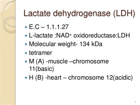 Lactate dehydrogenase isozymes: kinetic properties at high.